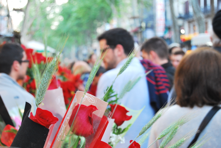 Sant Jordi en Barcelona / Sant Jordi in Barcelona