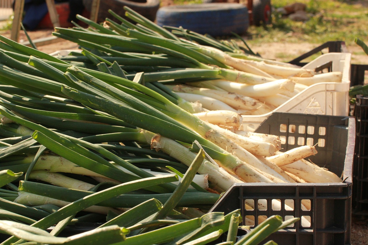 calcots, donde comer cacots en barcelona