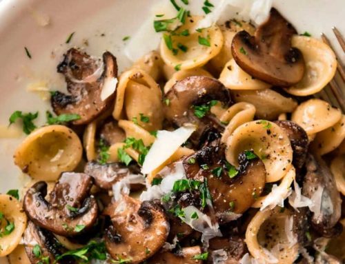 Catalan gastronomy: it’s mushrooms time!