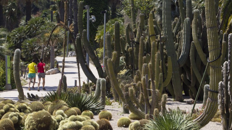 Jardines Mossèn Costa i Llobera Planes baratos Barcelona