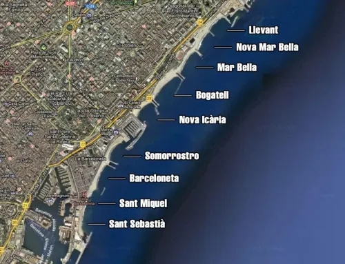 Las Mejores Playas de Barcelona para Refrescarte en estos Días de Calor