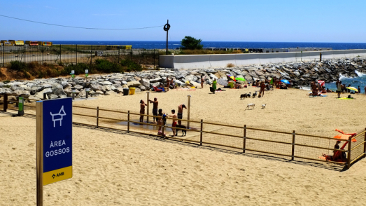 Playa de Llevant